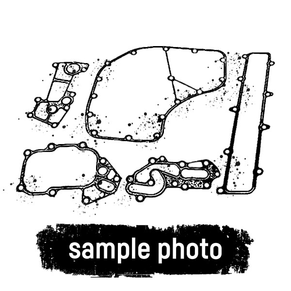 493.450, Full gasket set, ELRING, 51.00900-6620, 51009006620